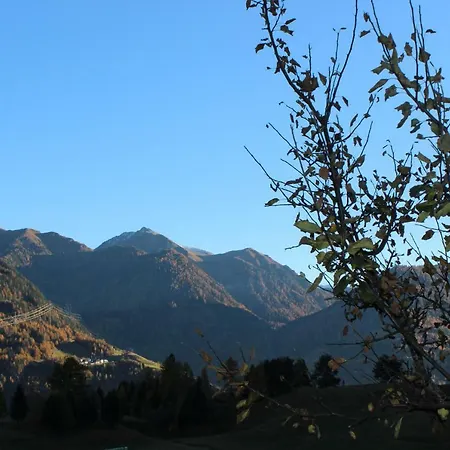 ゲストハウス Haus Brigitte ザーファウス